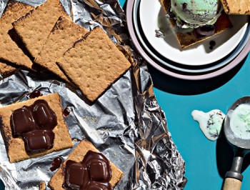 Grilled S’mores Ice Cream Sandwiches