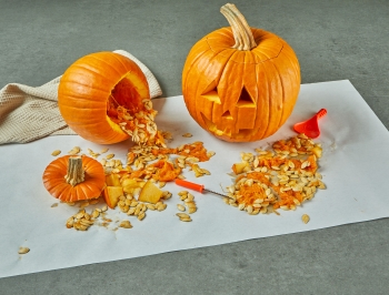 Halloween pumpkins being carved into jackolaterns sitting on a sheet of Reynolds Kitchens Countertop Prep Paper