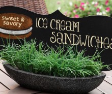 Sweet & Savory Ice Cream Sandwiches